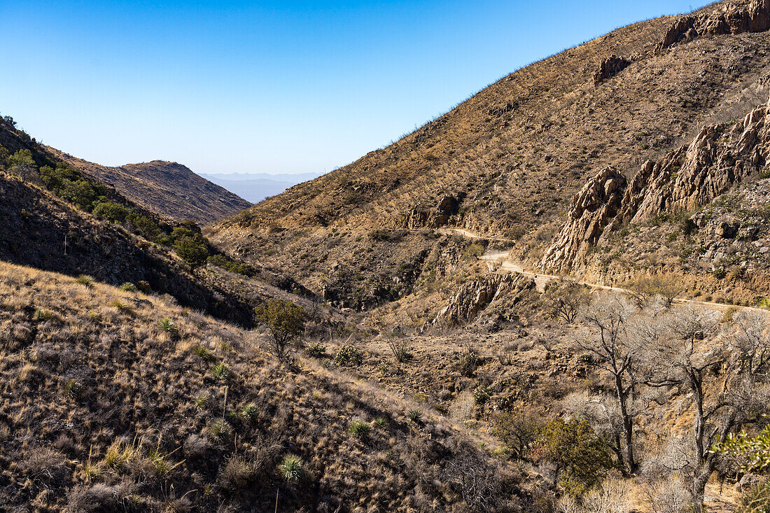 Die unbefestigte Straße durch den Box Canyon in der Sonoran-Wüste südlich von Tucson, Arizona