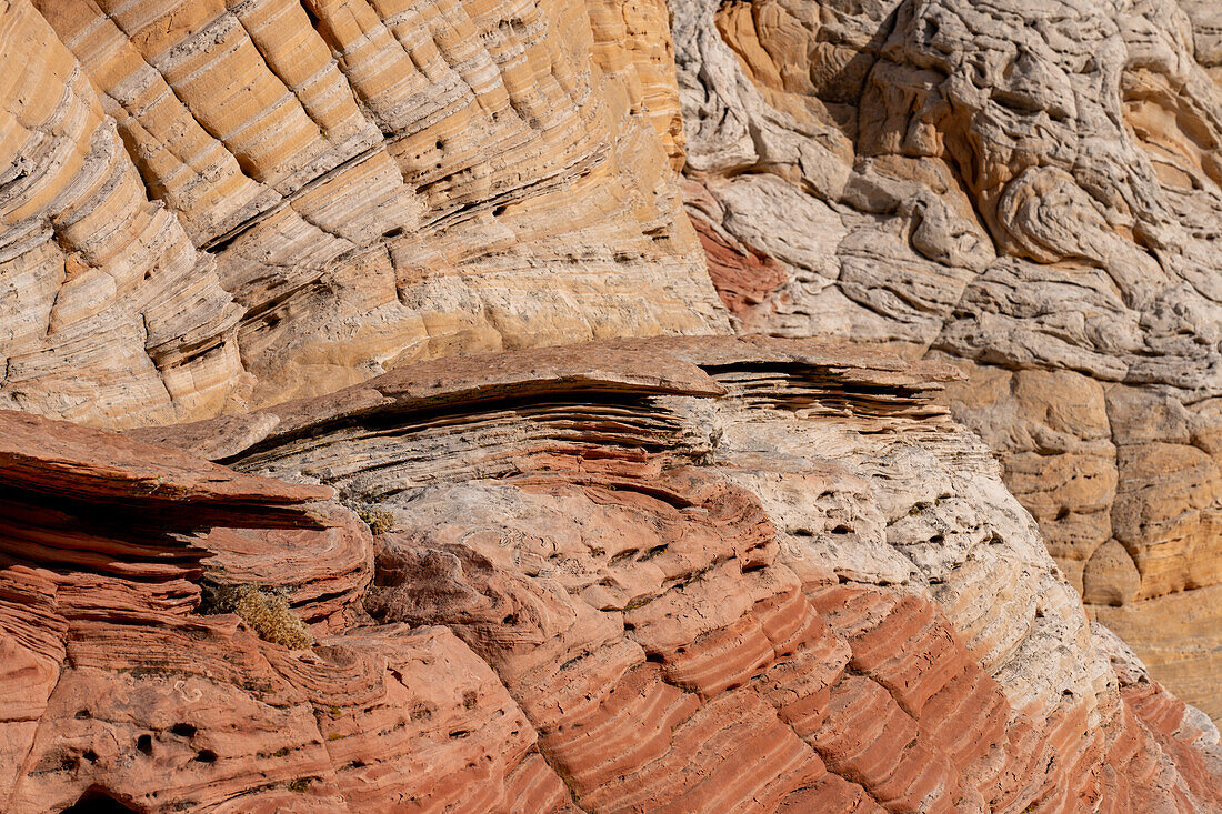 Eroded Navajo sandstone formation in the White Pocket Recreation Area, Vermilion Cliffs National Monument, Arizona.