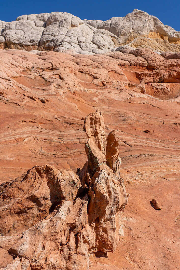 Eroded Navajo sandstone in the White Pocket Recreation Area, Vermilion Cliffs National Monument, Arizona.