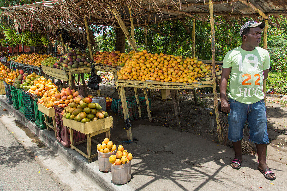 Ein Mann verkauft Mangos an einem Obststand am Straßenrand in Bani, Dominikanische Republik