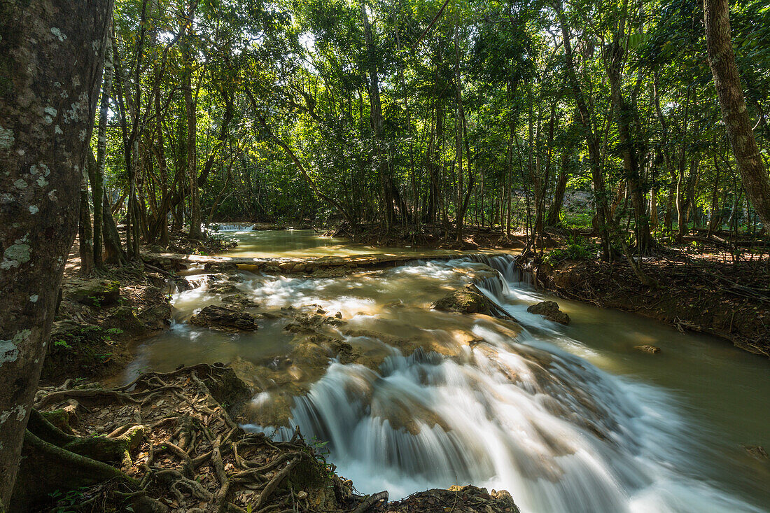 Kleine Stromschnellen am Limon-Fluss in der Nähe der großen Wasserfälle bei Samana, Dominikanische Republik