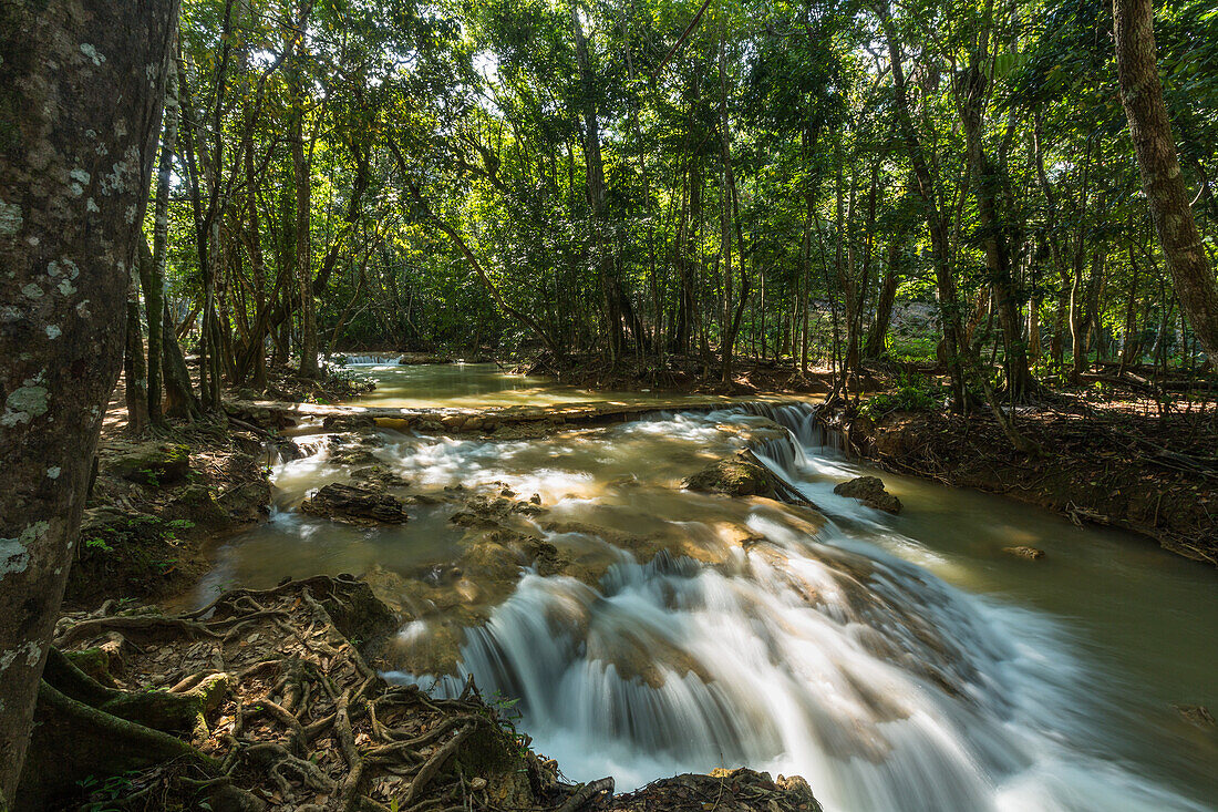 Small rapids on the Limon River near the main waterfalls near Samana, Dominican Republic.