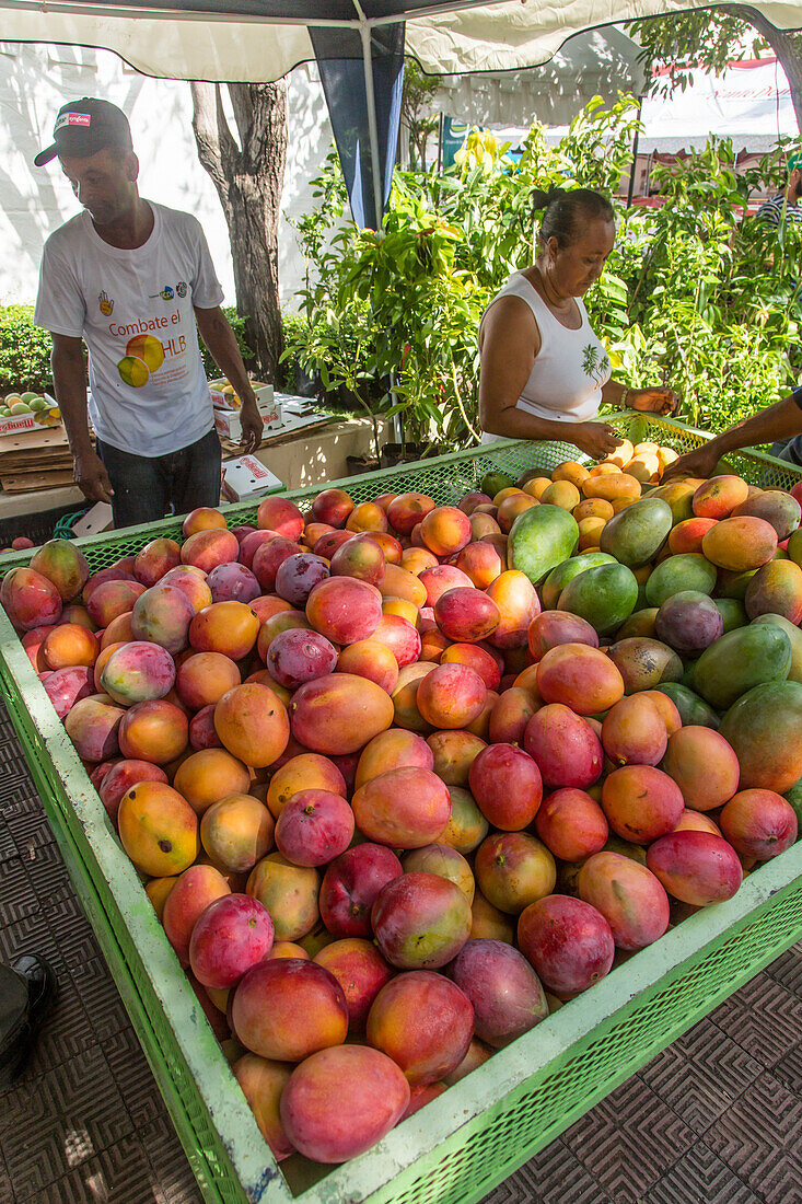 A man and woman selling mangos at the Bani Mango Expo in Bani, Dominican Republic.
