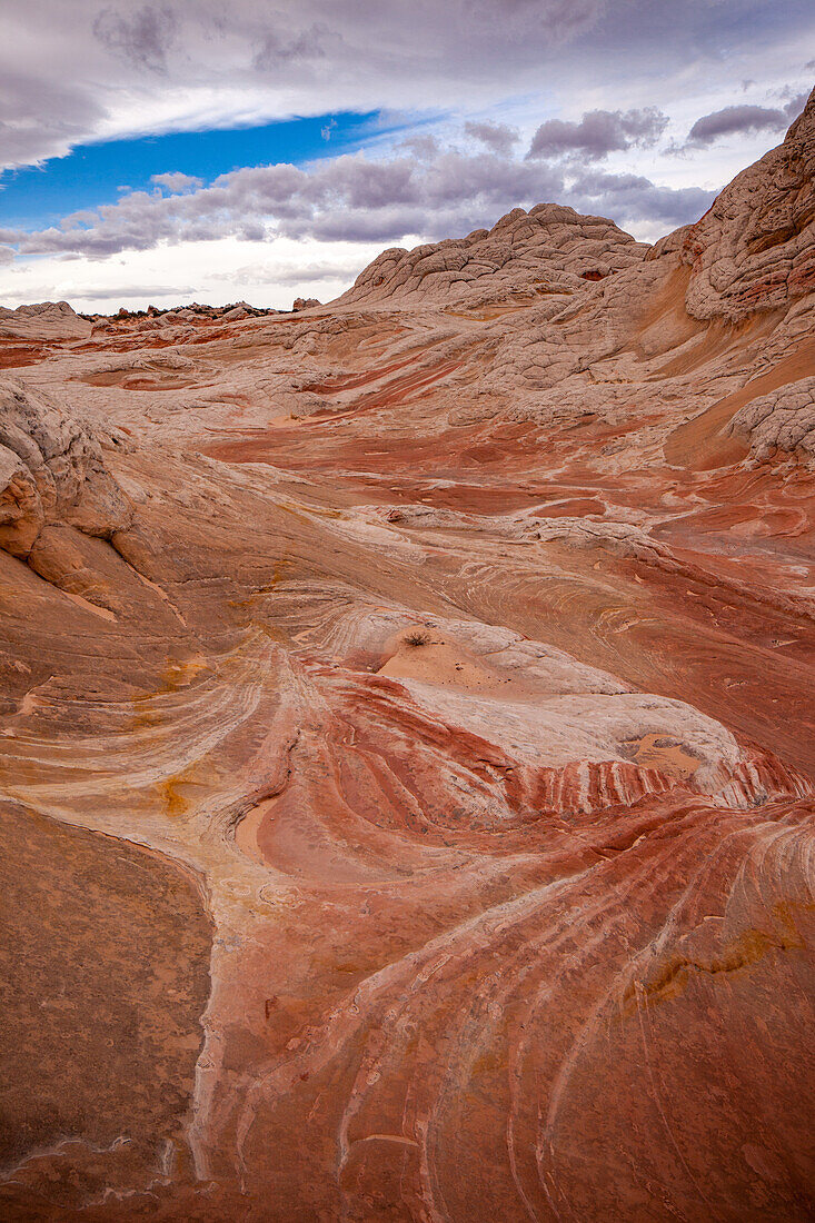 Colorful eroded Navajo sandstone in the White Pocket Recreation Area, Vermilion Cliffs National Monument, Arizona.