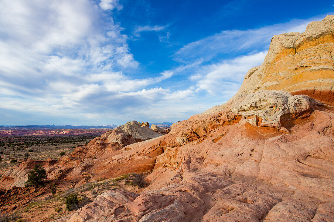 Eroded Navajo sandstone formations in the White Pocket Recreation Area, Vermilion Cliffs National Monument, Arizona.