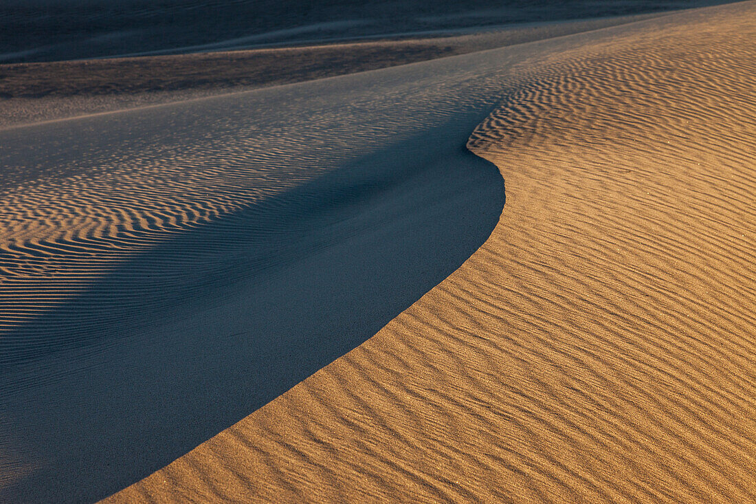 Curving crest of a dune in the Mesquite Flat Sand Dunes in the Mojave Desert in Death Valley National Park, California.