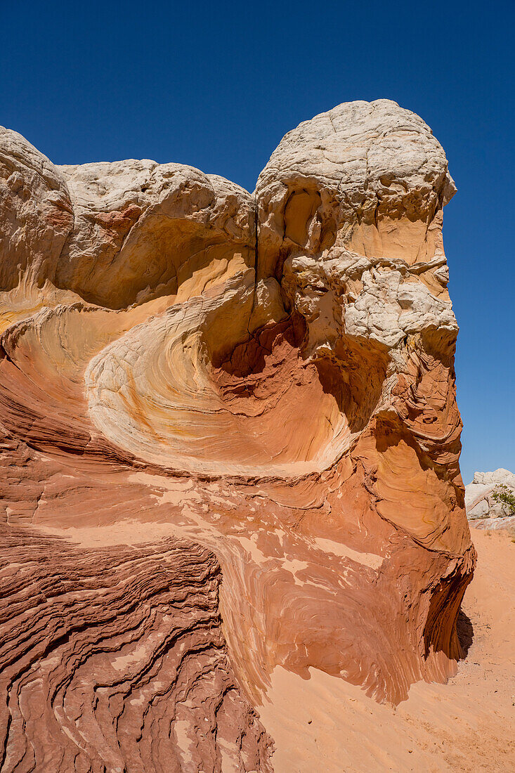 Farbenfroher erodierter Navajo-Sandstein in der White Pocket Recreation Area, Vermilion Cliffs National Monument, Arizona. Hier sind sowohl plastische Verformung als auch Querschichtung zu sehen.