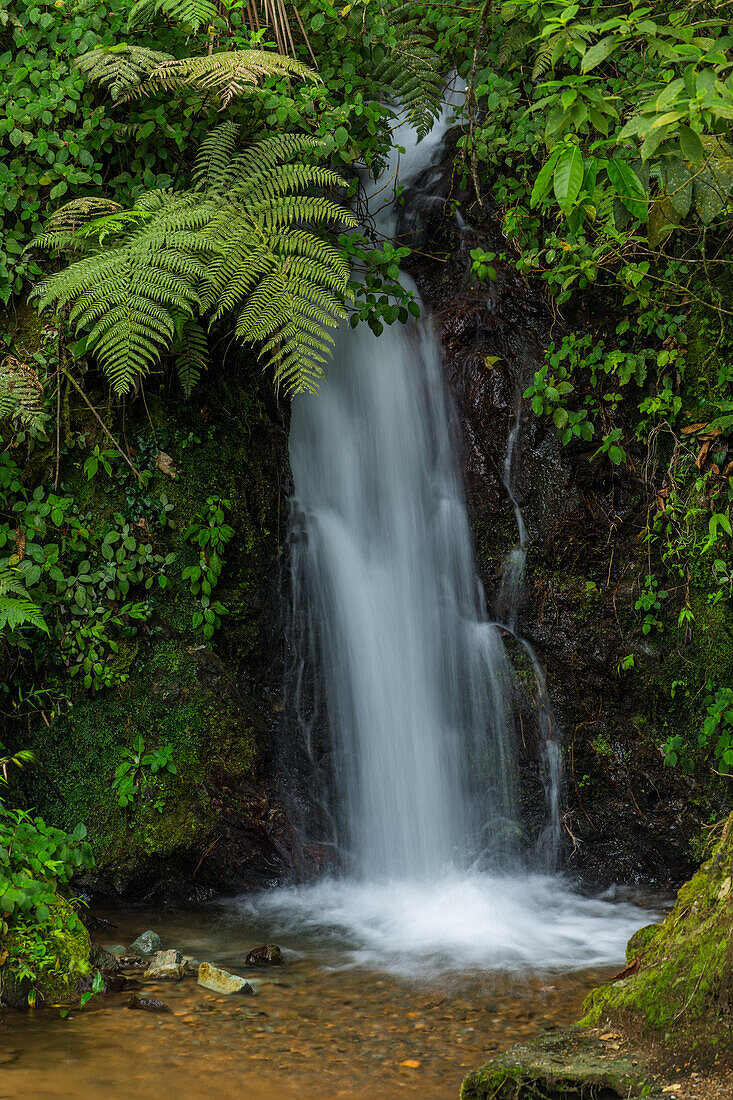 Ein kleiner Wasserfall in den Bergen bei Constanza in der Dominikanischen Republik