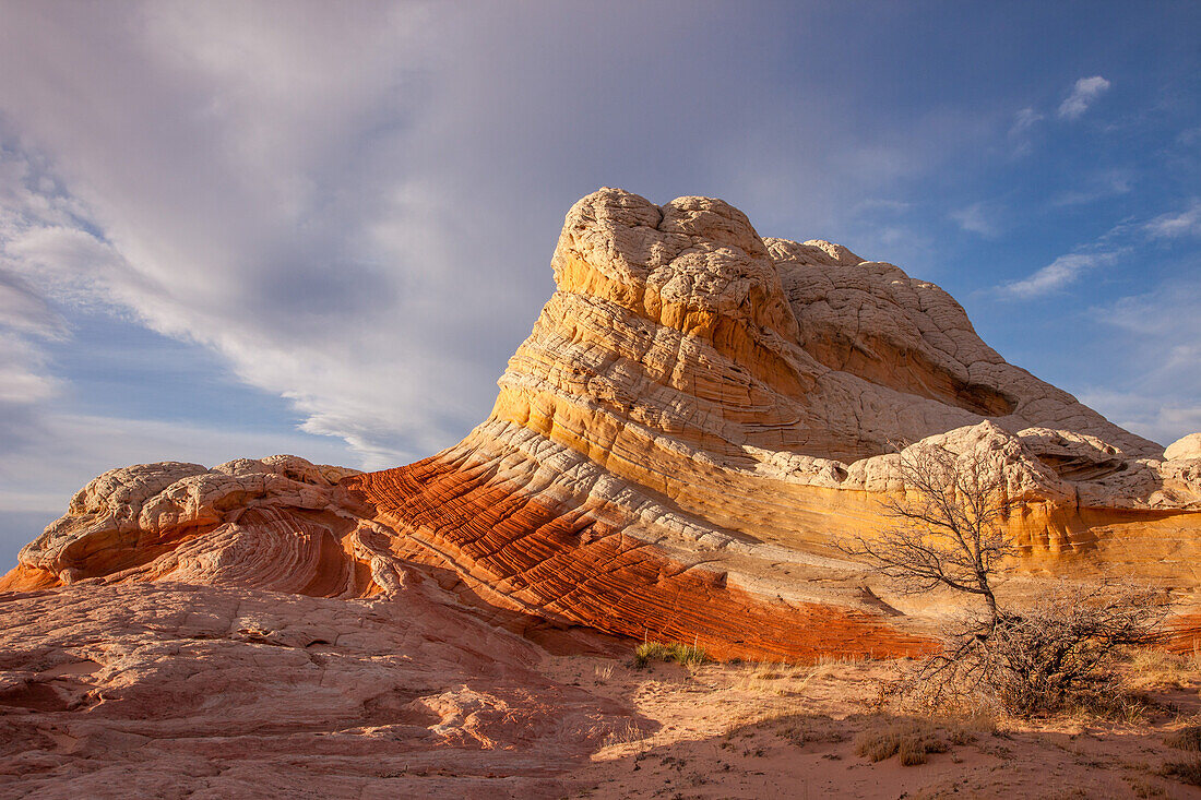 Lollipop Rock, a sandstone formation in the White Pocket Recreation Area, Vermilion Cliffs National Monument, Arizona.