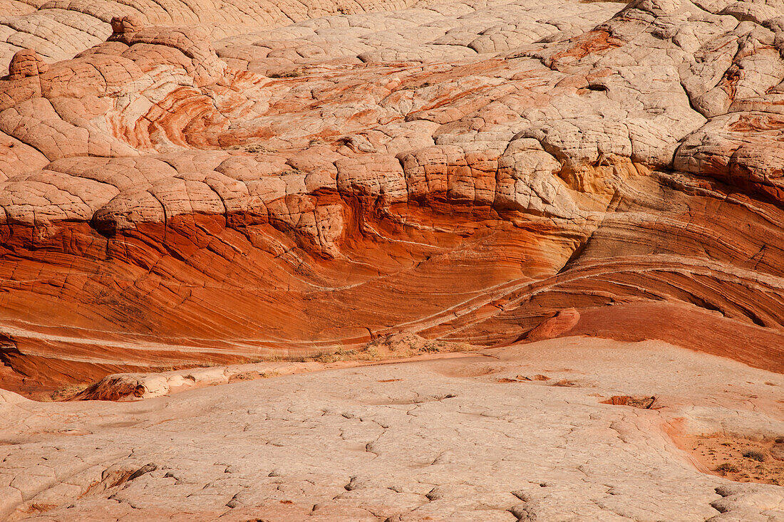 Eroded Navajo sandstone formations in the White Pocket Recreation Area, Vermilion Cliffs National Monument, Arizona. Cross-bedding is shown here.