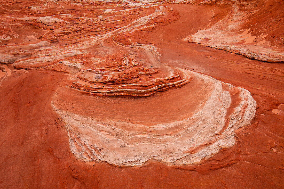 Eroded Navajo sandstone formations in the White Pocket Recreation Area, Vermilion Cliffs National Monument, Arizona.