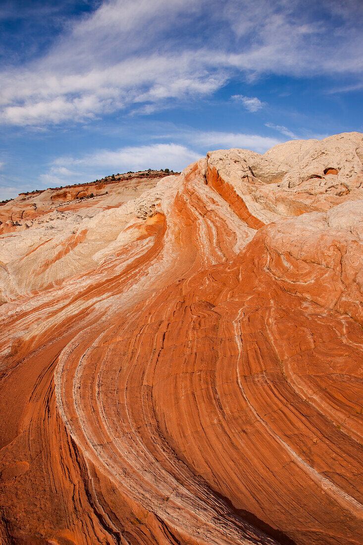 Eroded Navajo sandstone formations in the White Pocket Recreation Area, Vermilion Cliffs National Monument, Arizona.