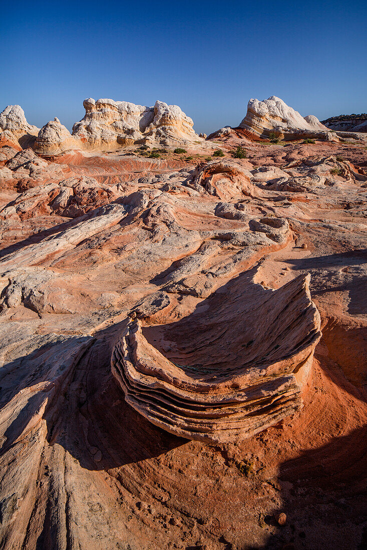 Erodierte Navajo-Sandsteinformation in der White Pocket Recreation Area, Vermilion Cliffs National Monument, Arizona