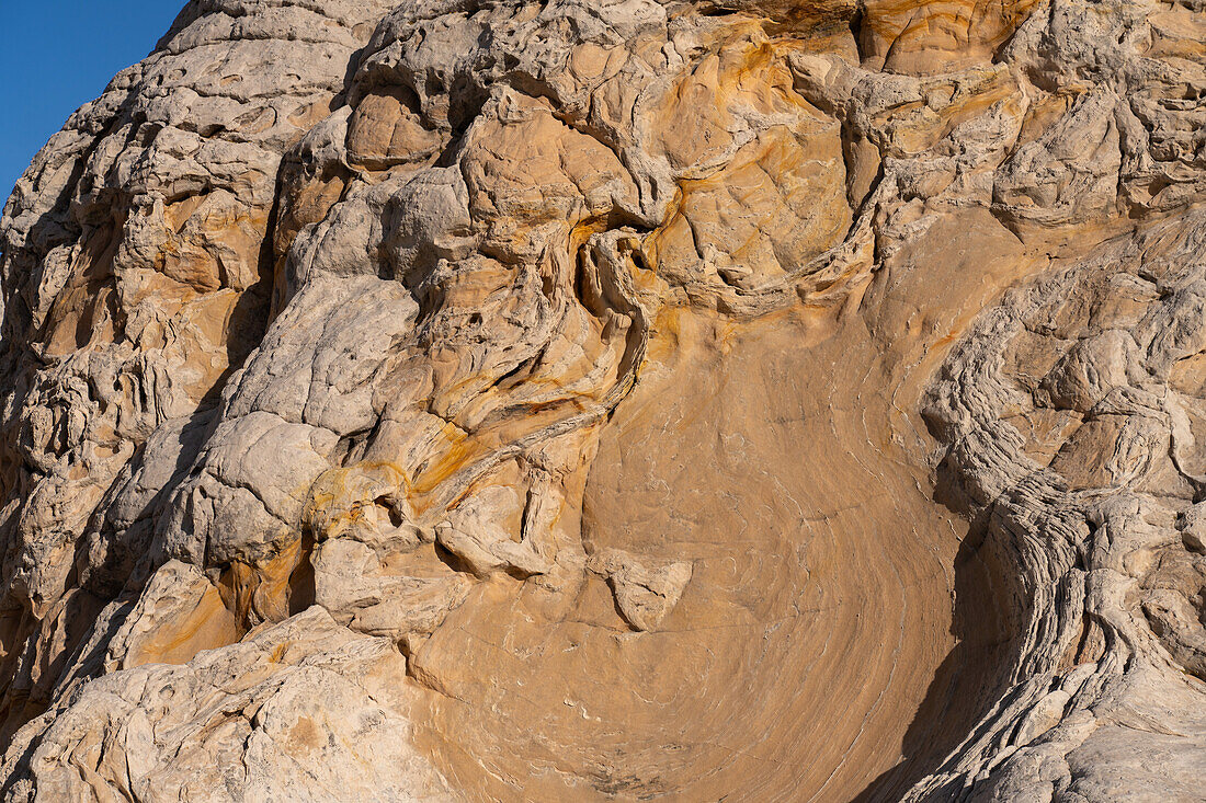 Plastische Verformung im Navajo-Sandstein. White Pocket Recreation Area, Vermilion Cliffs National Monument, Arizona