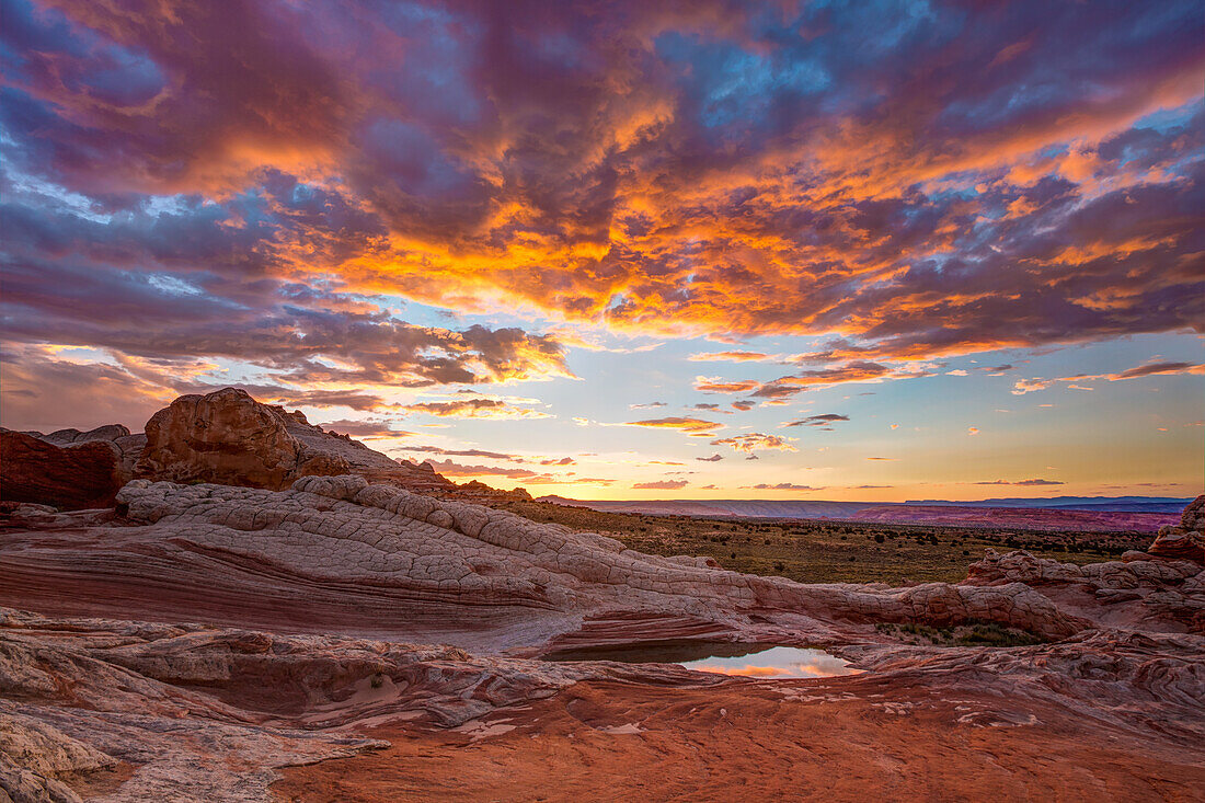 Sonnenuntergangsspiegelung in einem ephemeren Pool in der White Pocket Recreation Area, Vermilion Cliffs National Monument, Arizona