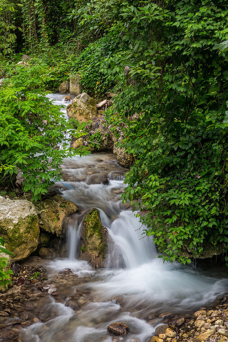 Ein kleiner Bach im Regenwald in der Provinz Barahona in der Dominikanischen Republik. Eine lange Verschlusszeit verleiht dem Wasser ein seidiges Aussehen