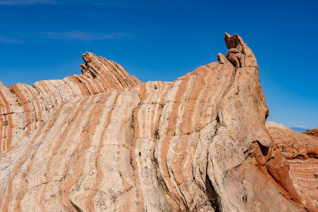 Eine Navajo-Sandsteinfelsformation in der White Pocket Recreation Area, Vermilion Cliffs National Monument, Arizona