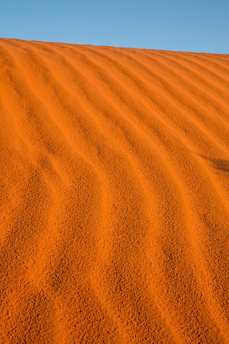 Kräuselungen in den roten Sanddünen im Monument Valley Navajo Tribal Park in Arizona