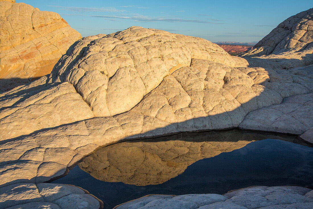 Brain rock reflected in an ephemeral pool in the White Pocket Recreation Area, Vermilion Cliffs National Monument, Arizona. Also known as pillow rock, a form of Navajo sandstone.