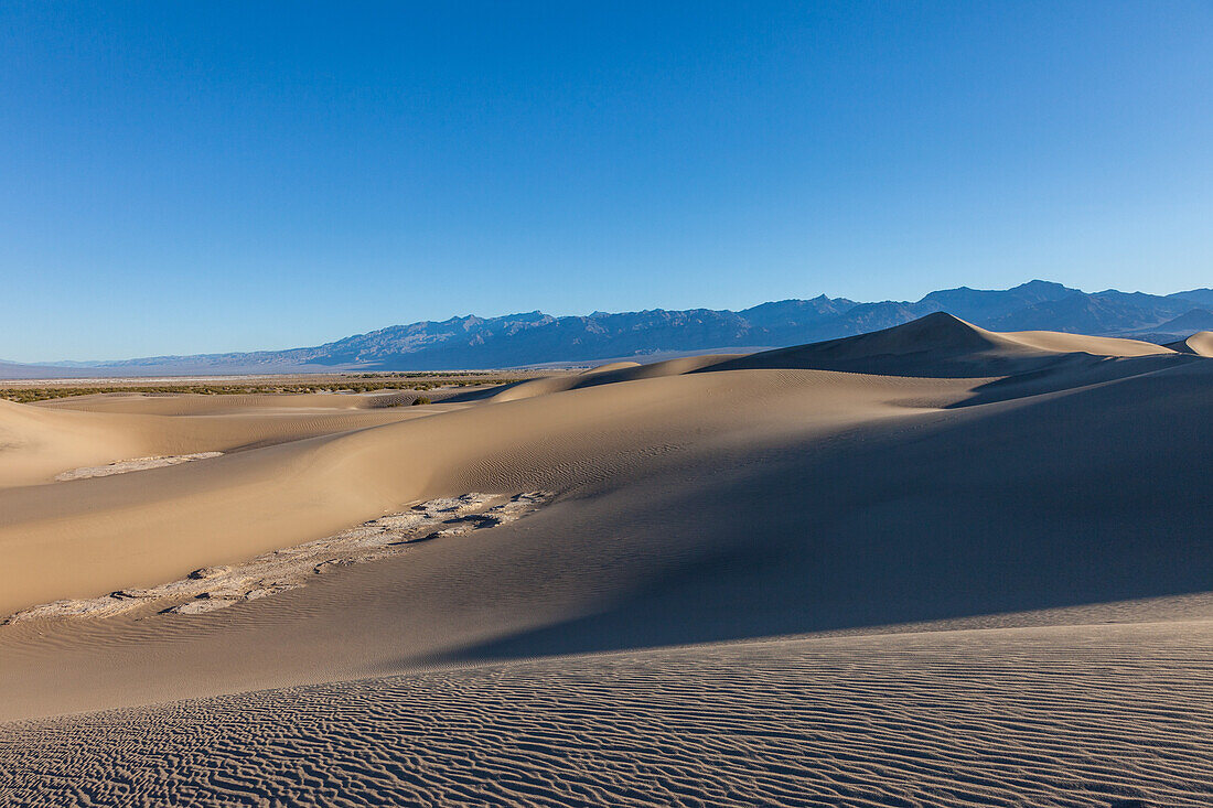 Mesquite Flat Sanddünen im Death Valley National Park in der Mojave-Wüste, Kalifornien. Dahinter die Black Mountains