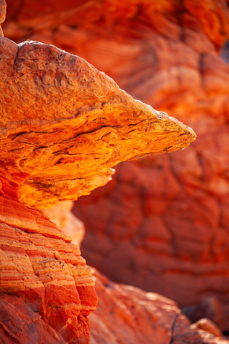 Erodierte Navajo-Sandsteinformationen in South Coyote Buttes, Vermilion Cliffs National Monument, Arizona