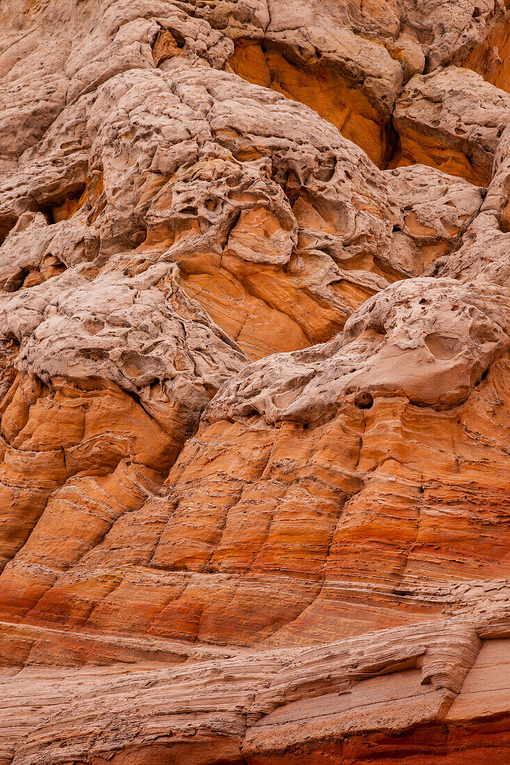 Erodierte Navajo-Sandsteinformationen in der White Pocket Recreation Area, Vermilion Cliffs National Monument, Arizona