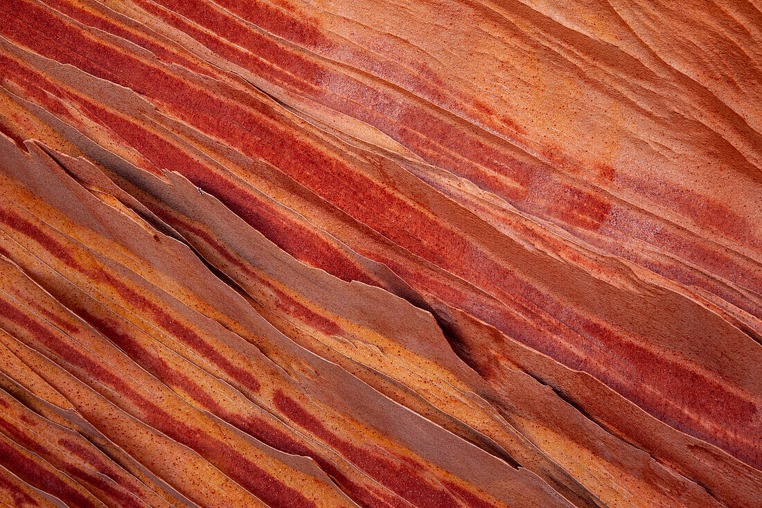 Very thin, fragile sandstone fins in Navajo sandstone formations. South Coyote Buttes, Vermilion Cliffs National Monument, Arizona. Geologically, these fins are called compaction bands.