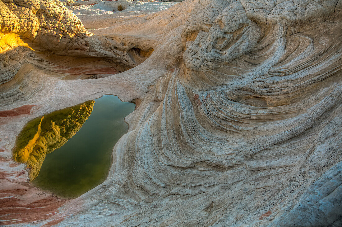 Sandsteinformation, die sich in einem ephemeren Pool spiegelt. White Pocket Recreation Area, Vermilion Cliffs National Monument, Arizona. Der Sandstein zeigt Querschichtung und plastische Verformung.