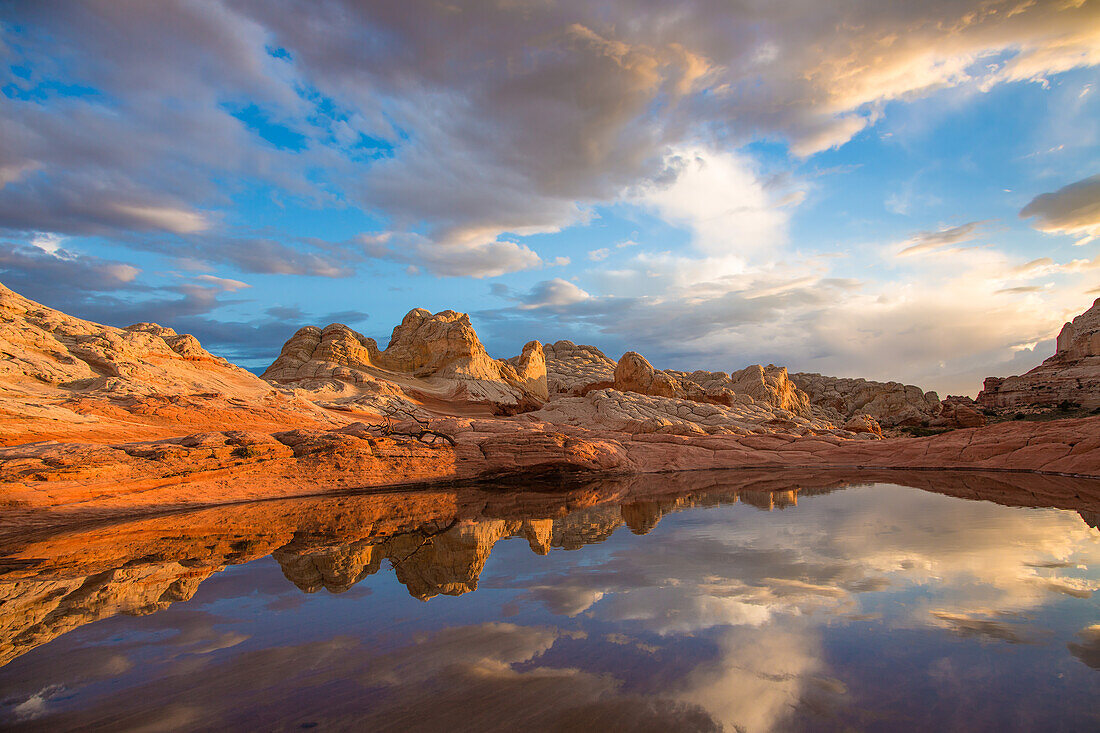 Sonnenuntergangsspiegelung der Zitadelle in einem ephemeren Pool in der White Pocket, Vermilion Cliffs National Monument, Arizona