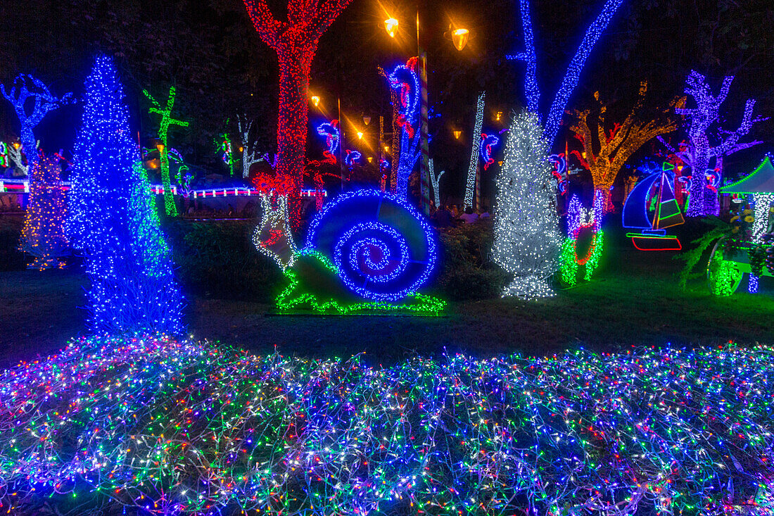 Millionen von Weihnachtslichtern schmücken den Ibero-Amerikanischen Park in Santo Domingo, Dominikanische Republik