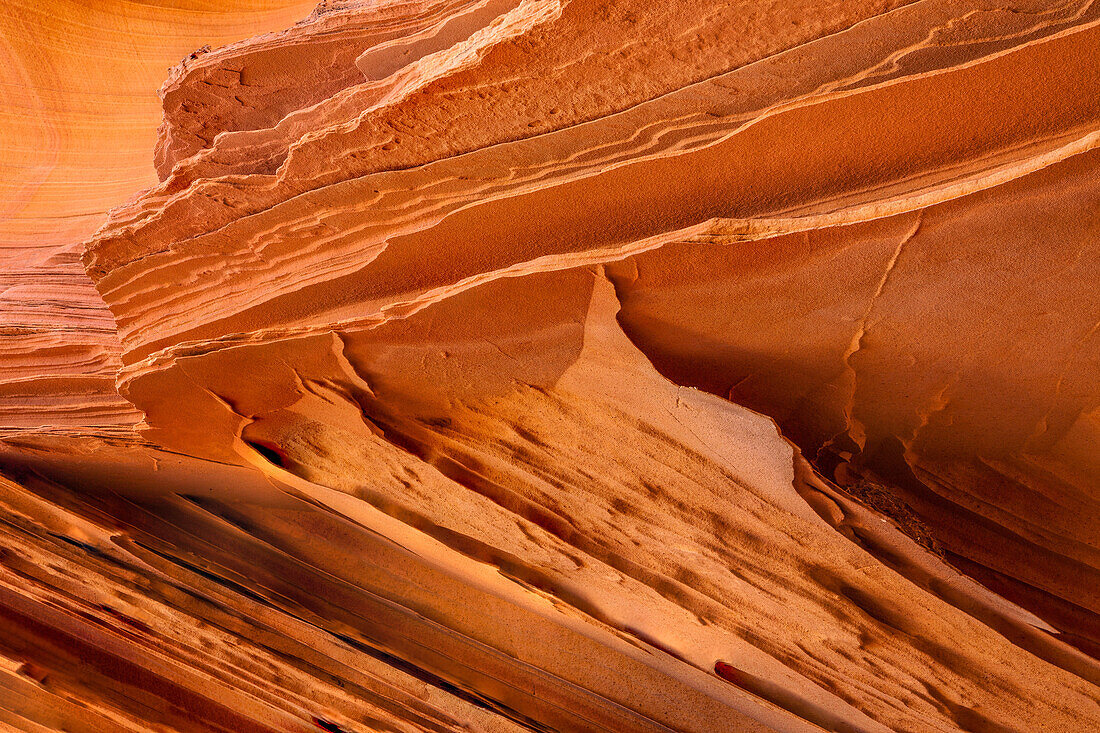 Sehr dünne, zerbrechliche Sandsteinrippen in Navajo-Sandsteinformationen. South Coyote Buttes, Vermilion Cliffs National Monument, Arizona. Geologisch gesehen werden diese Rippen als Verdichtungsbänder bezeichnet.