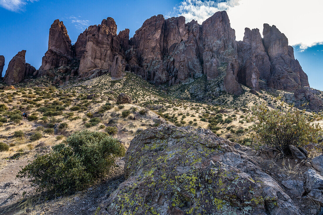 Flechte auf einem Felsblock vor dem Superstition Mountain, Lost Dutchman State Park, Apache Junction, Arizona