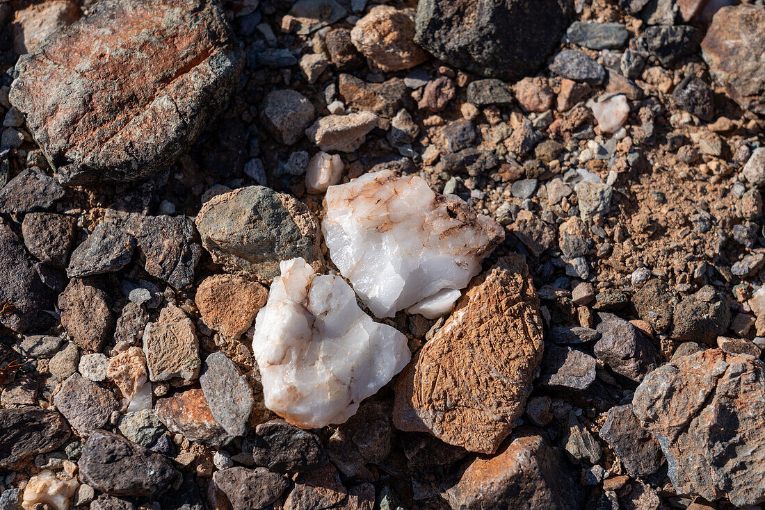 Quarz und andere Gesteine auf dem Boden der Sonoran-Wüste bei Quartzsite, Arizona