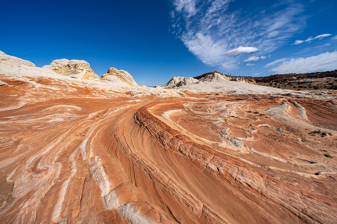 Der Drachenschwanz, eine bunte erodierte Sandsteinformation. White Pocket Recreation Area, Vermilion Cliffs National Monument, Arizona