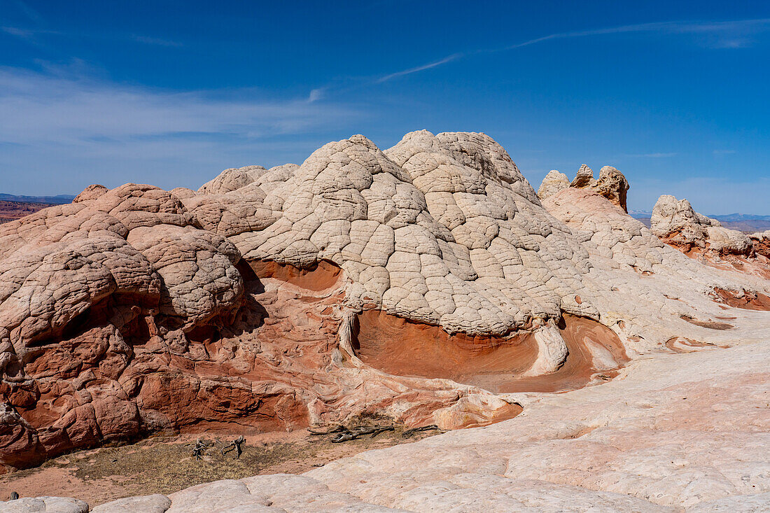 Erodierter weißer Pillow Rock oder Brain Rock Sandstein in der White Pocket Recreation Area, Vermilion Cliffs National Monument, Arizona. Sowohl der rote als auch der weiße Sandstein sind Navajo-Sandstein, aber der rote hat mehr Eisenoxidanteil