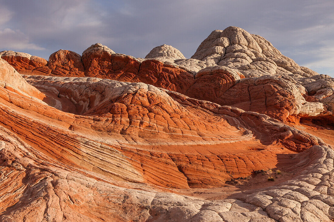 The red swirl & white pillow rock in the White Pocket Recreation Area, Vermilion Cliffs National Monument, Arizona.