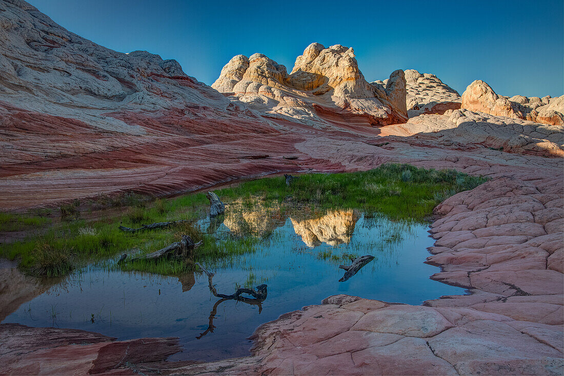 The Citadel reflected in an ephemeral pool in the White Pocket Recreation Area, Vermilion Cliffs National Monument, Arizona.