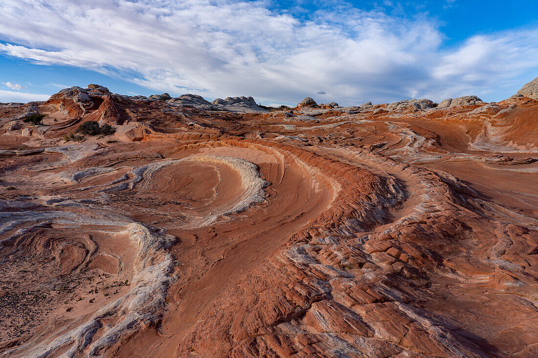 The Dragon's Tail, a colorful eroded sandstone formation. White Pocket Recreation Area, Vermilion Cliffs National Monument, Arizona.