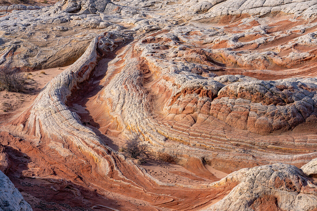 Red-striped eroded Navajo sandstone in the White Pocket Recreation Area, Vermilion Cliffs National Monument, Arizona.