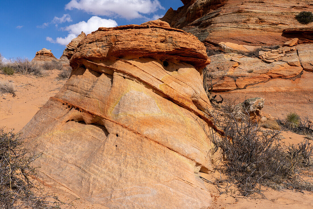 Erodierte Navajo-Sandsteinformationen in der Nähe von South Coyote Buttes, Vermilion Cliffs National Monument, Arizona