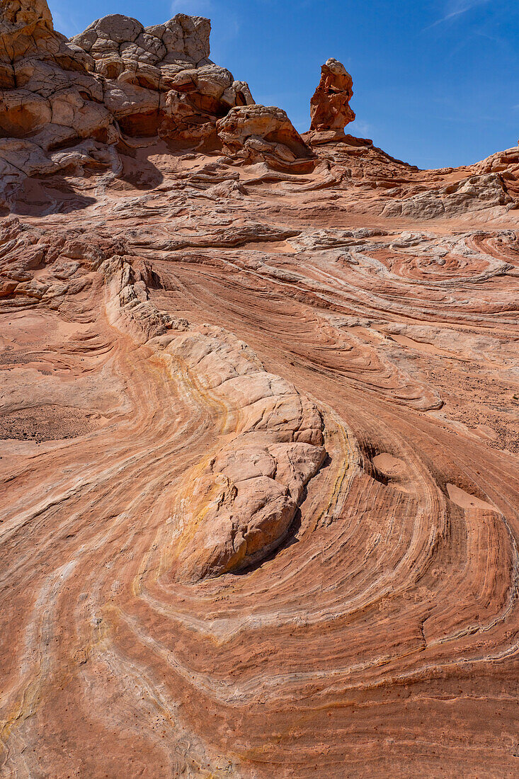 Erodierter Navajo-Sandstein in der White Pocket Recreation Area, Vermilion Cliffs National Monument, Arizona