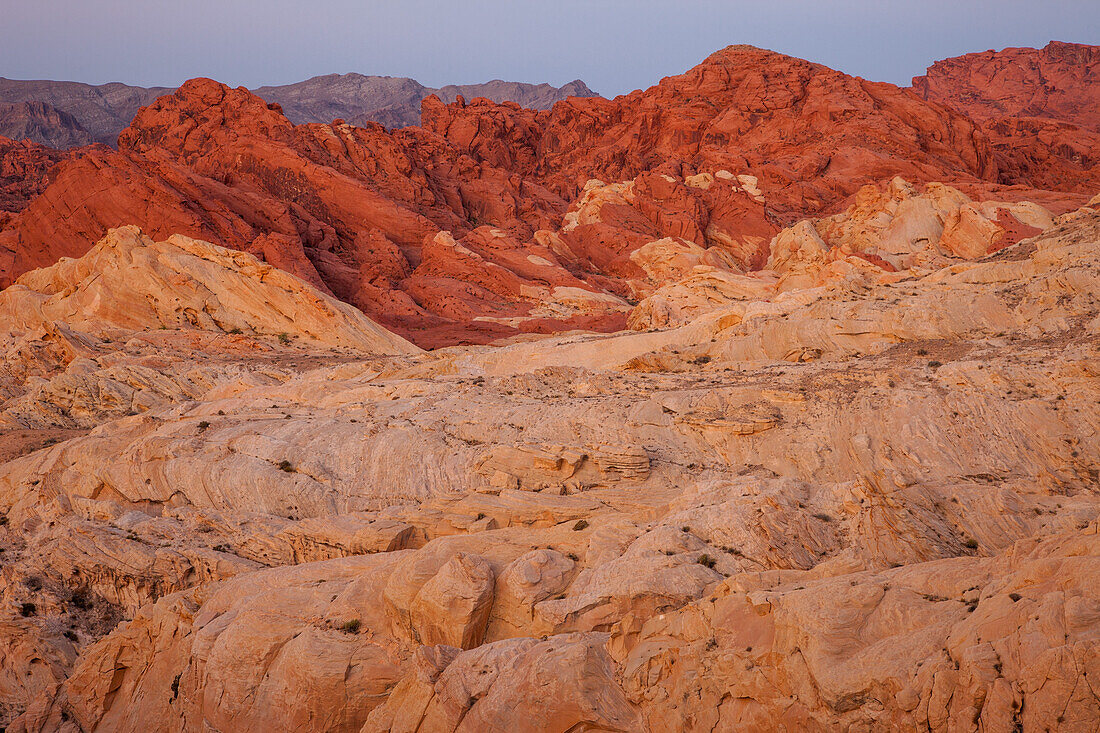 Red and white Aztec sandstone in Fire Canyon before sunrise in Valley of Fire State Park in Nevada. The white sandstone is called the Silica Dome. Its sand crystals are almost pure silica.