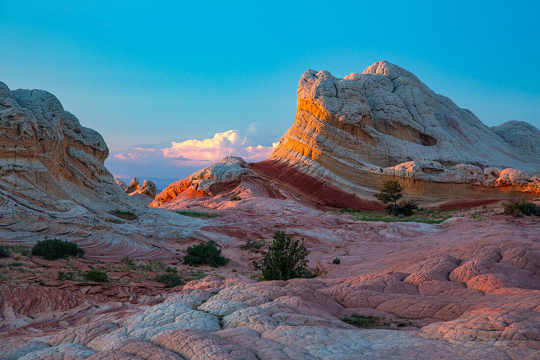 Lollipop Rock, eine Sandsteinformation in der White Pocket Recreation Area, Vermilion Cliffs National Monument, Arizona