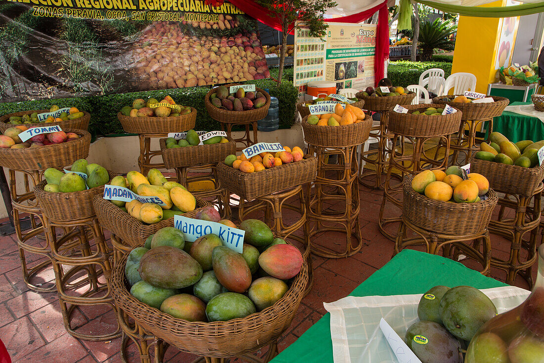Eine Ausstellung mit verschiedenen Mangosorten auf der Bani Mango Expo in Bani, Dominikanische Republik