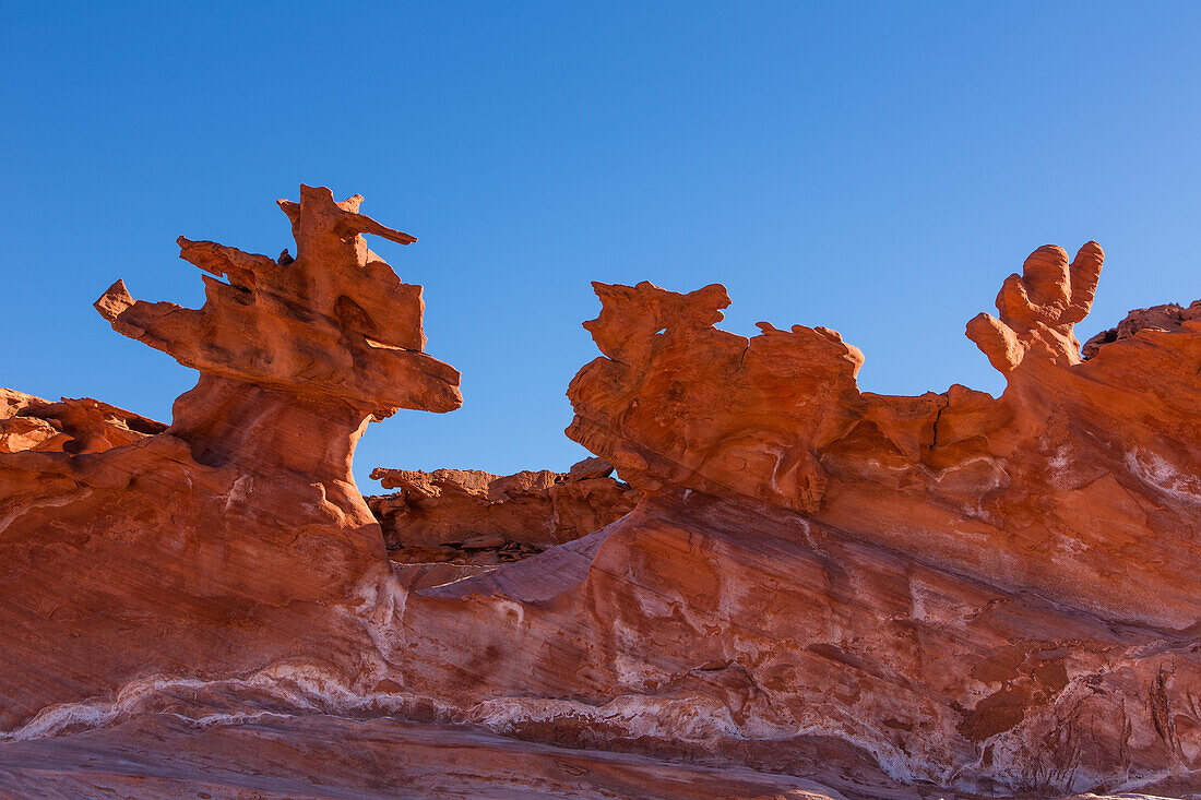 Fragile erodierte Azteken-Sandsteinformationen in Little Finland, Gold Butte National Monument, Nevada