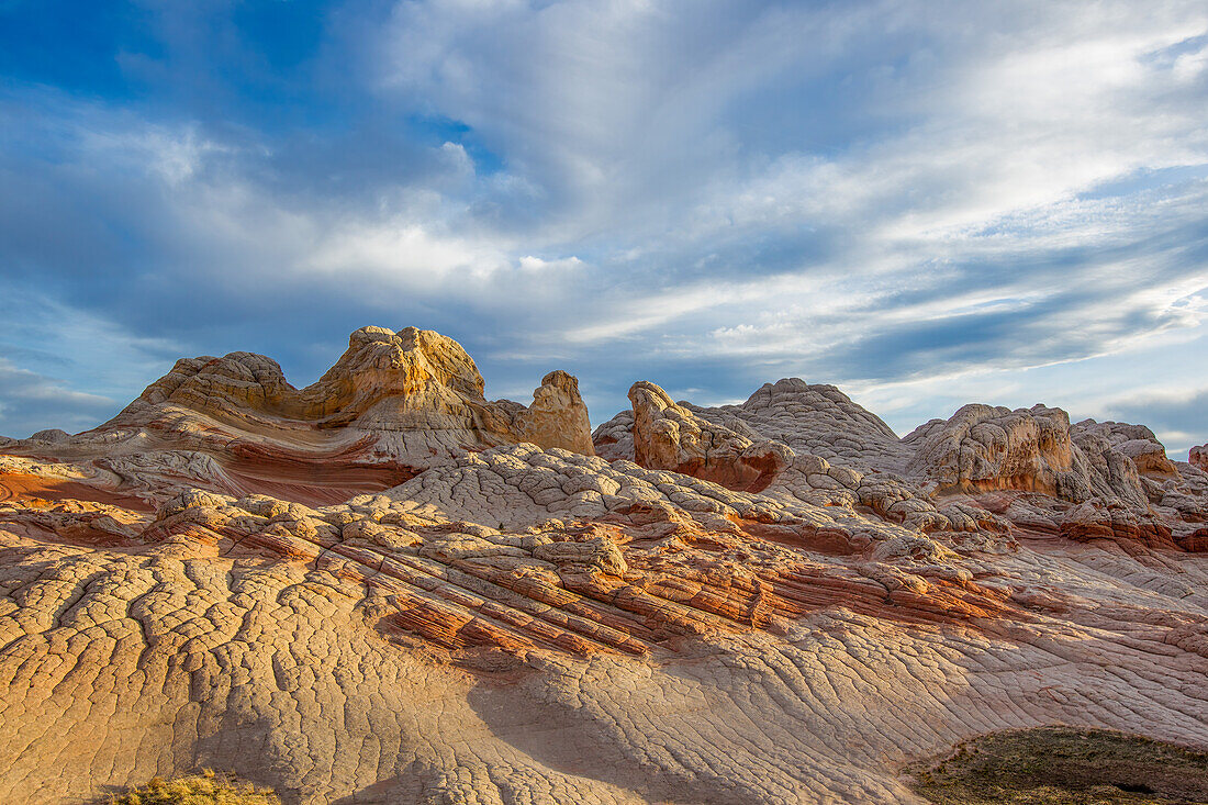 Eroded white pillow rock or brain rock sandstone in the White Pocket Recreation Area, Vermilion Cliffs National Monument, Arizona. Both the red and white are Navajo sandstone but the red has more iron oxide in it.