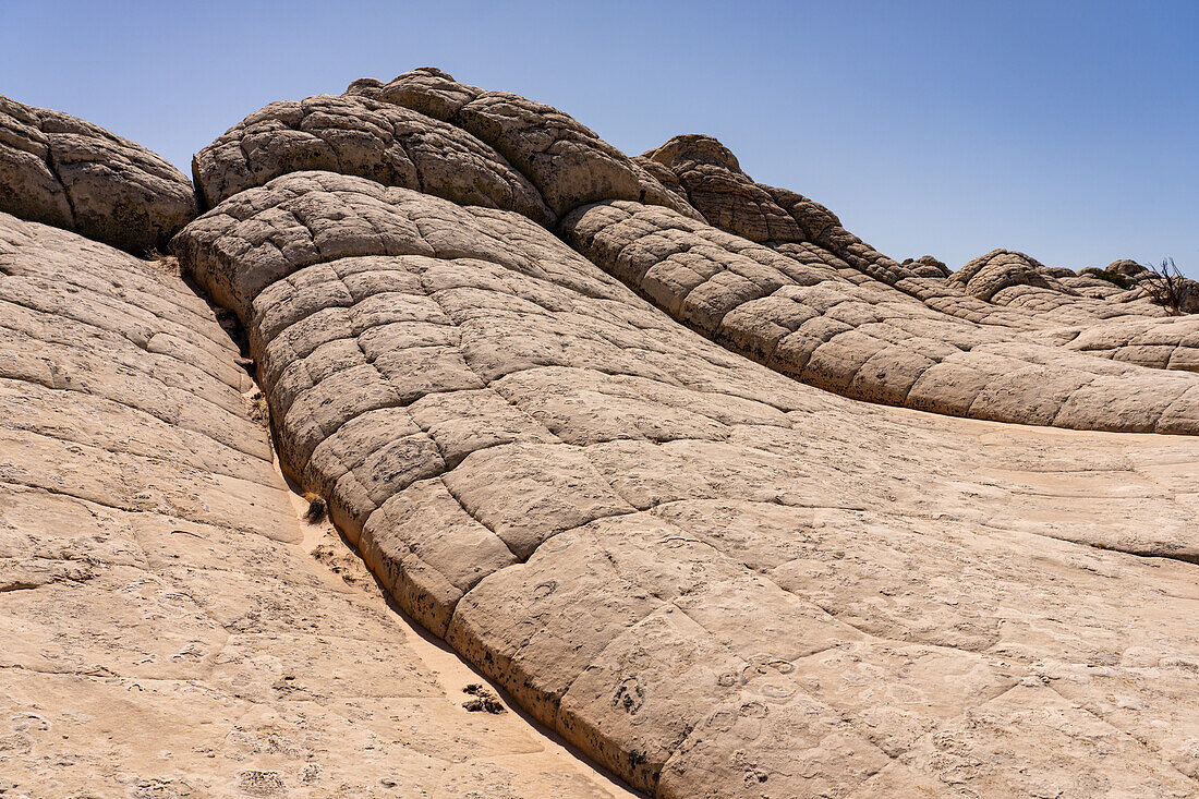 Weißer Pillow Rock oder Brain Rock Sandstein in der White Pocket Recreation Area, Vermilion Cliffs National Monument, Arizona. Eine Form des Navajo-Sandsteins