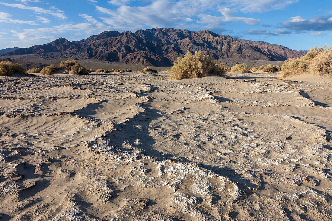 Mineralablagerungen auf dem sandigen Wüstenboden im Death Valley National Park in der Mojave-Wüste, Kalifornien. Panamint Mountains im Hintergrund