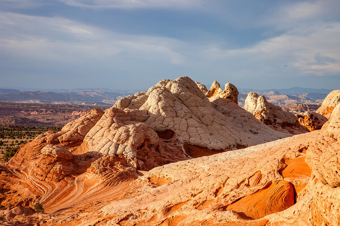 Eroded white pillow rock or brain rock sandstone in the White Pocket Recreation Area, Vermilion Cliffs National Monument, Arizona. Both the red and white are Navajo sandstone but the red has more iron oxide in it.