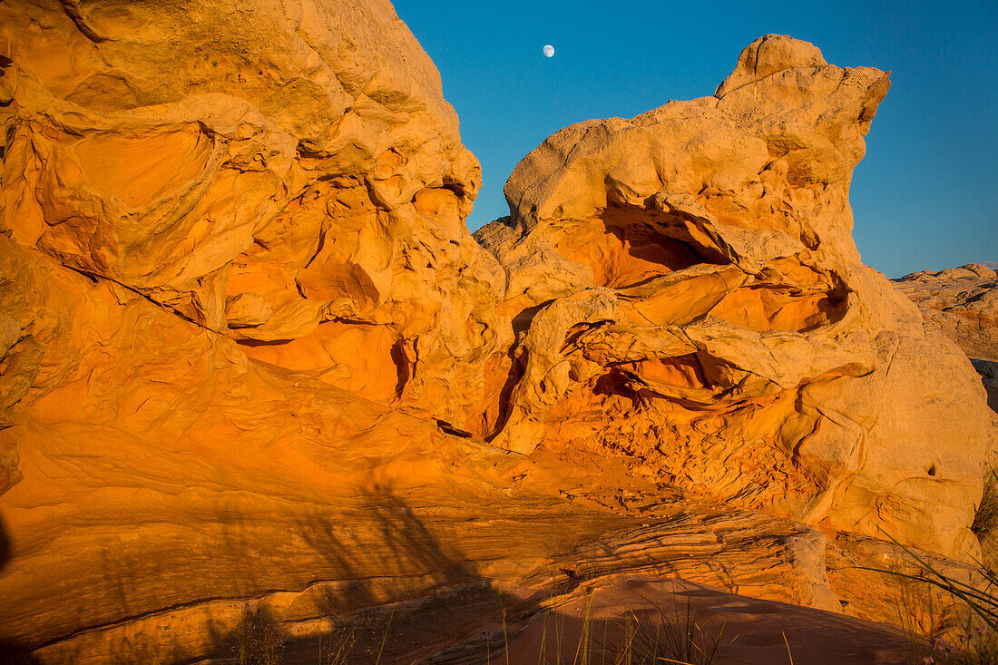 Mond über buntem Navajo-Sandstein bei Sonnenuntergang in der White Pocket Recreation Area, Vermilion Cliffs National Monument, Arizona